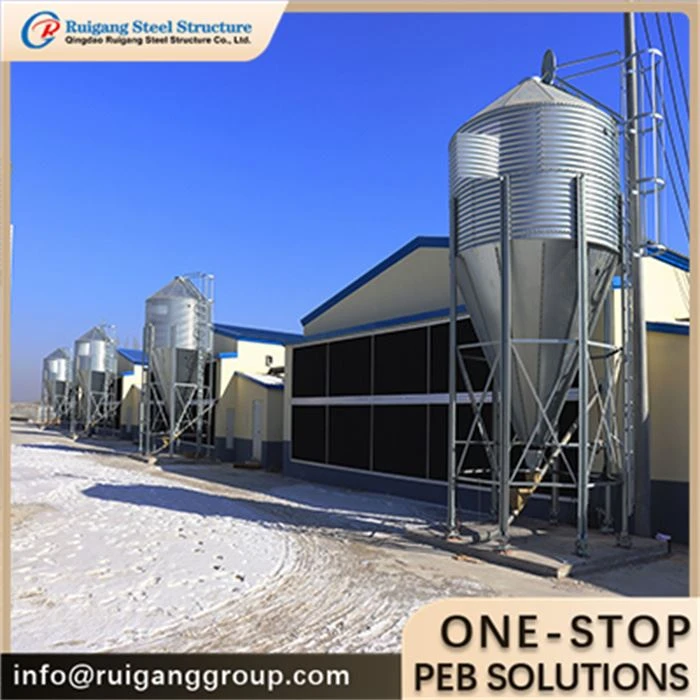 Prefabricated Chicken Poultry House